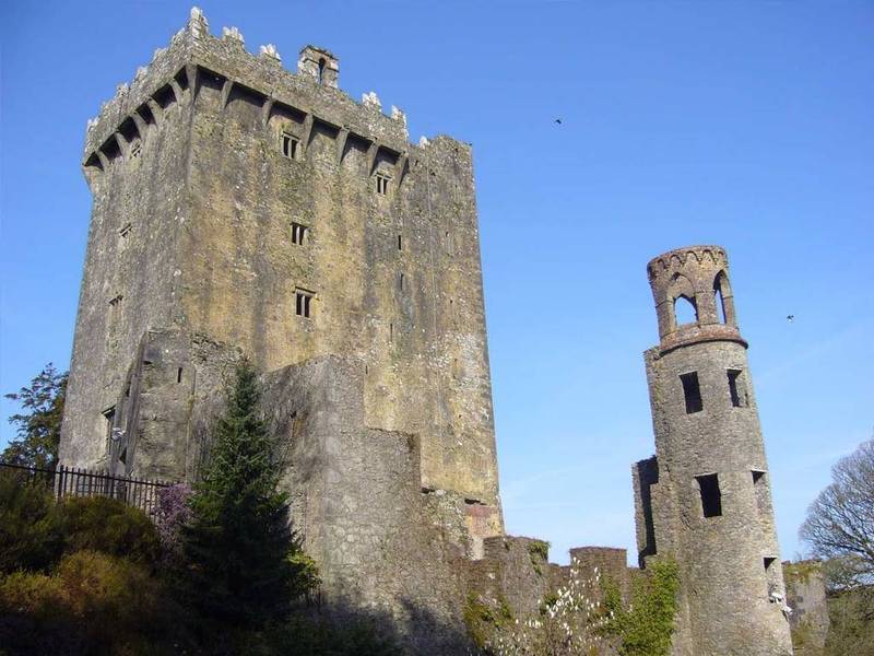 Self Catering Lodges At The Blarney Hotel & Golf Resort Екстер'єр фото