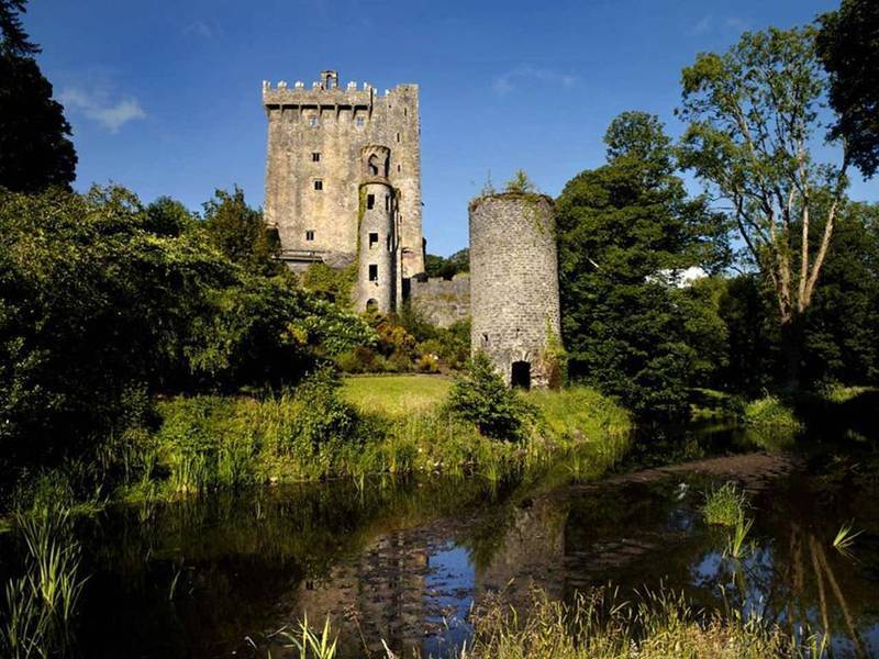Self Catering Lodges At The Blarney Hotel & Golf Resort Екстер'єр фото