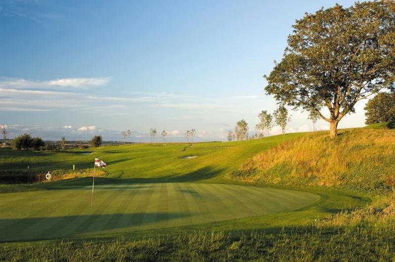 Self Catering Lodges At The Blarney Hotel & Golf Resort Зручності фото